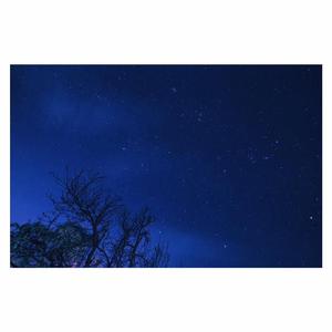 抖音网红露点走光在线
